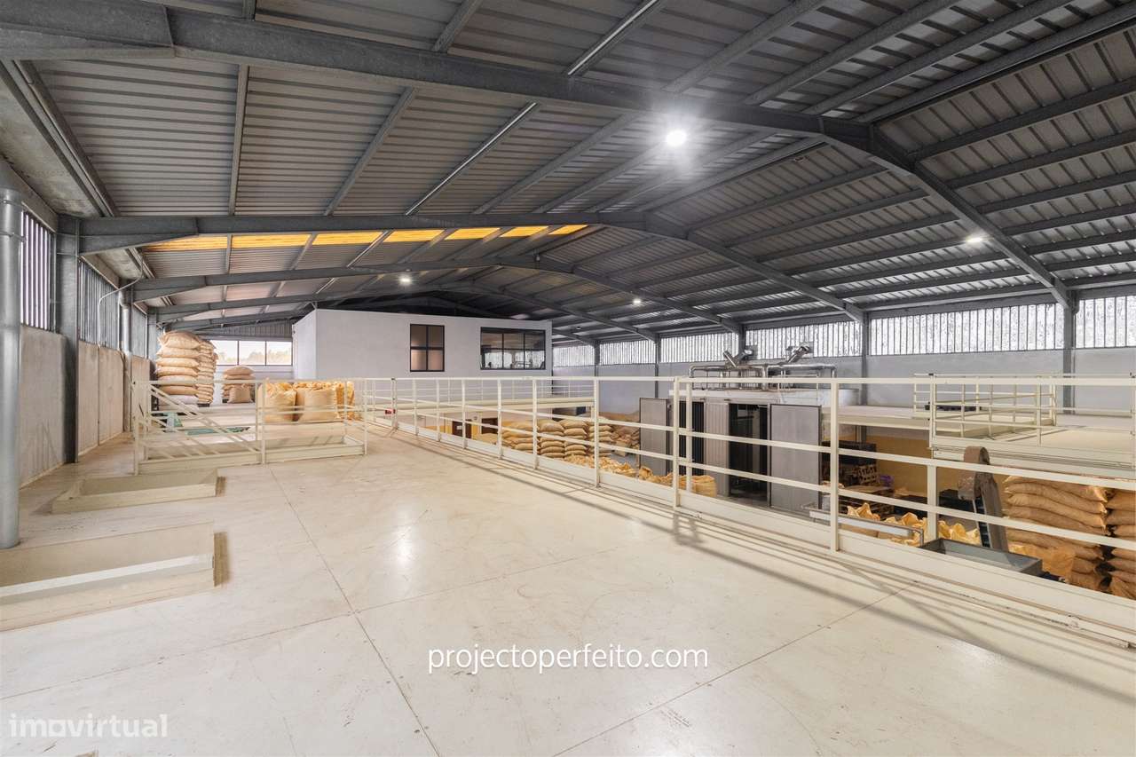 Fábrica/Indústria  Venda em Lourosa,Santa Maria da Feira - Grande imagem: 5/16