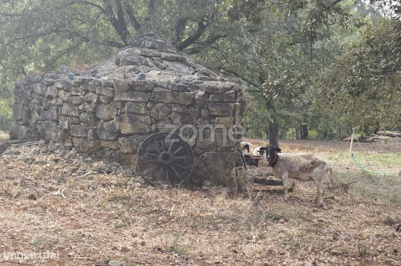 Quinta com cerca de 5,5ha - Património Natural com Potencial Único - Grande imagem: 4/19