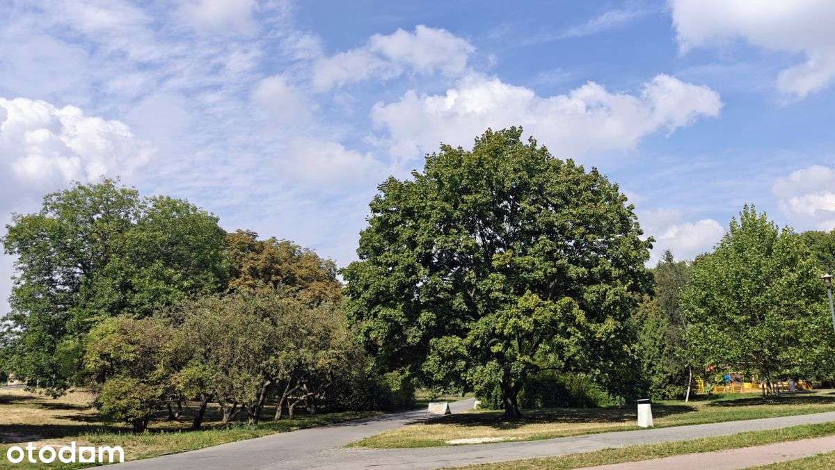 Wysokość 3m, ciche, widok na zieleń, duża piwnica-13