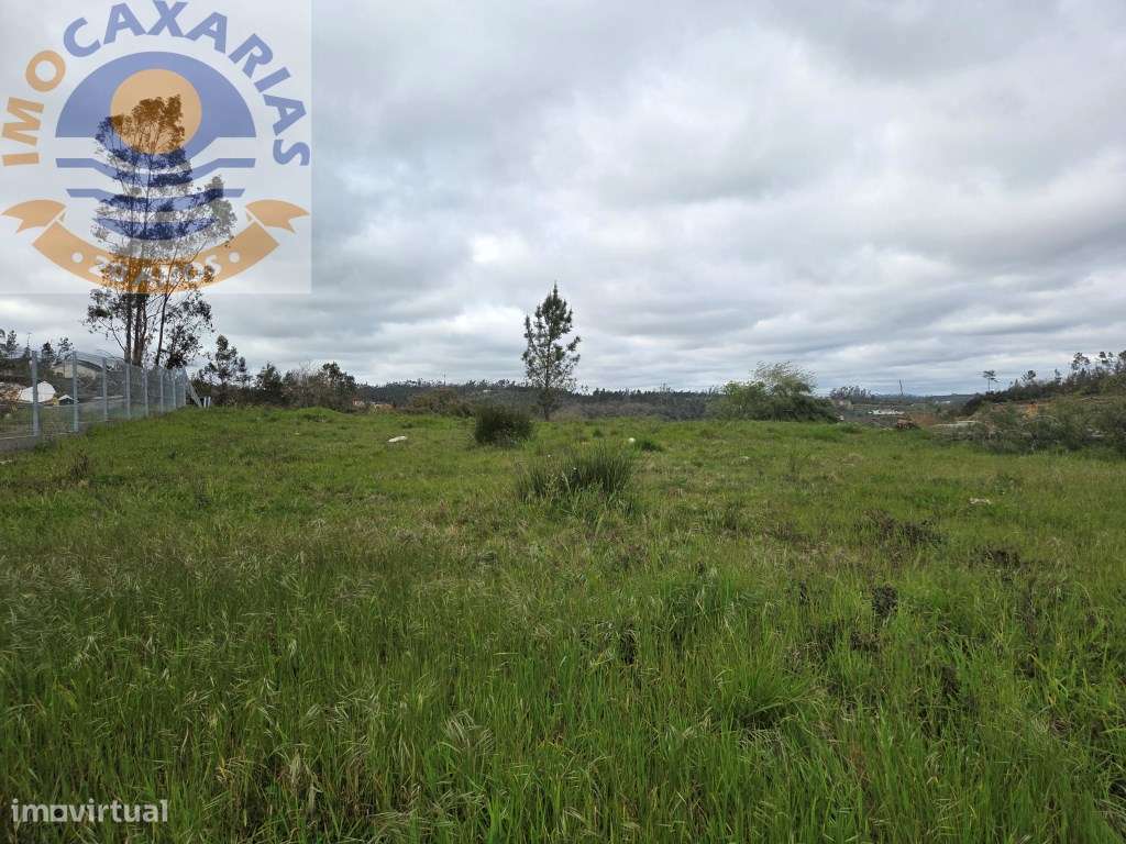 Terreno soalheiro e plano a 2 min de Caxarias e 10 min de Ourém-8