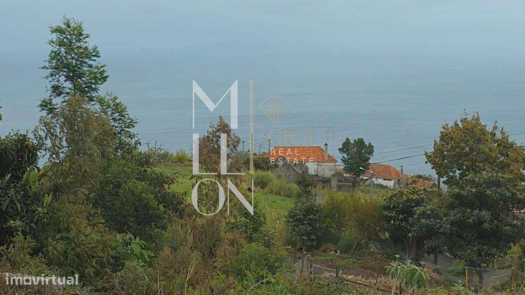 Terreno em Santa Cruz - Grande imagem: 5/15