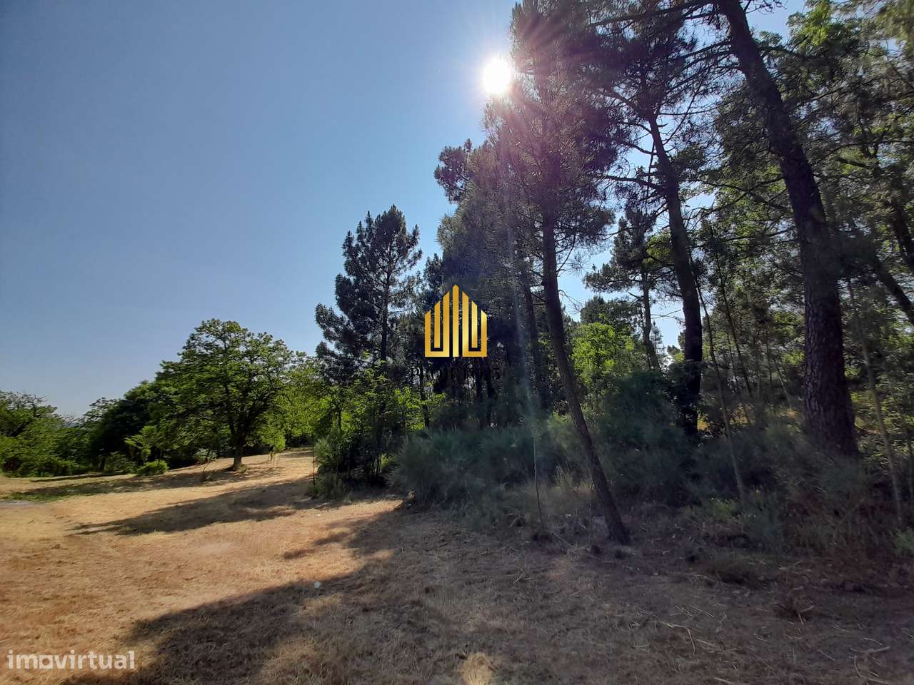 Terreno único com 21.500 m² Zona Vinhateira - Projeto Turístico-8