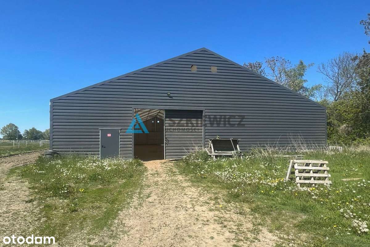 Działka rolna/siedliskowa z dużym potencjałem - Pełny obrazek: 5/7