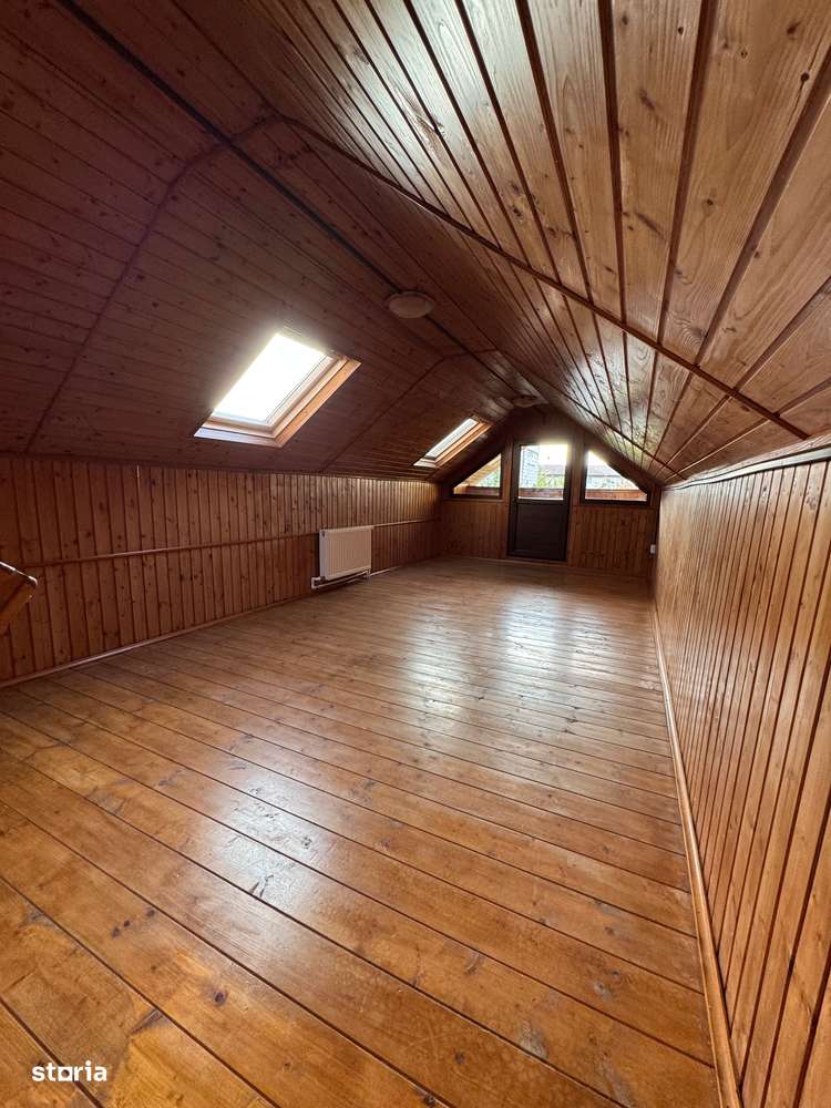 Costinesti Traian Vuia-13