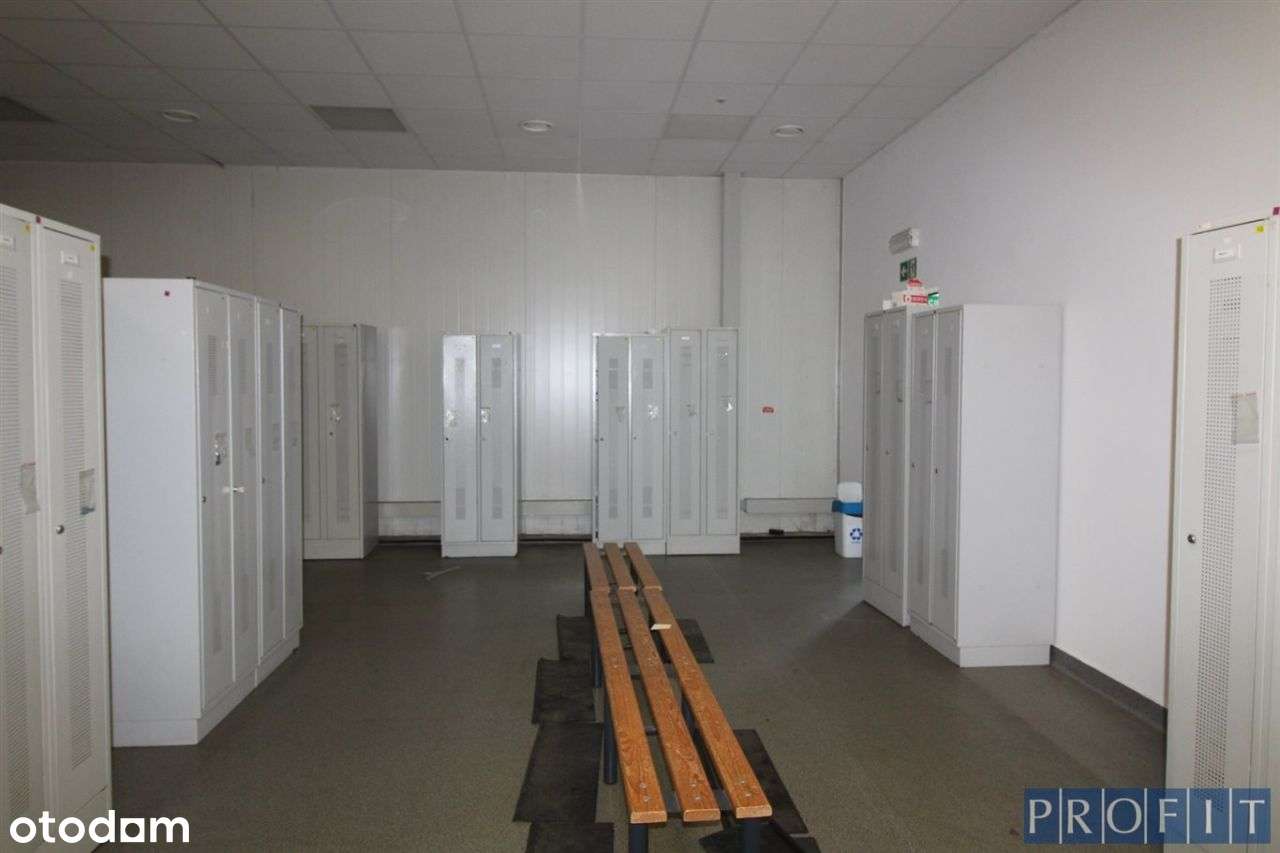 Magazyn/produkcja 5750 m² , Tychy - Pełny obrazek: 4/6