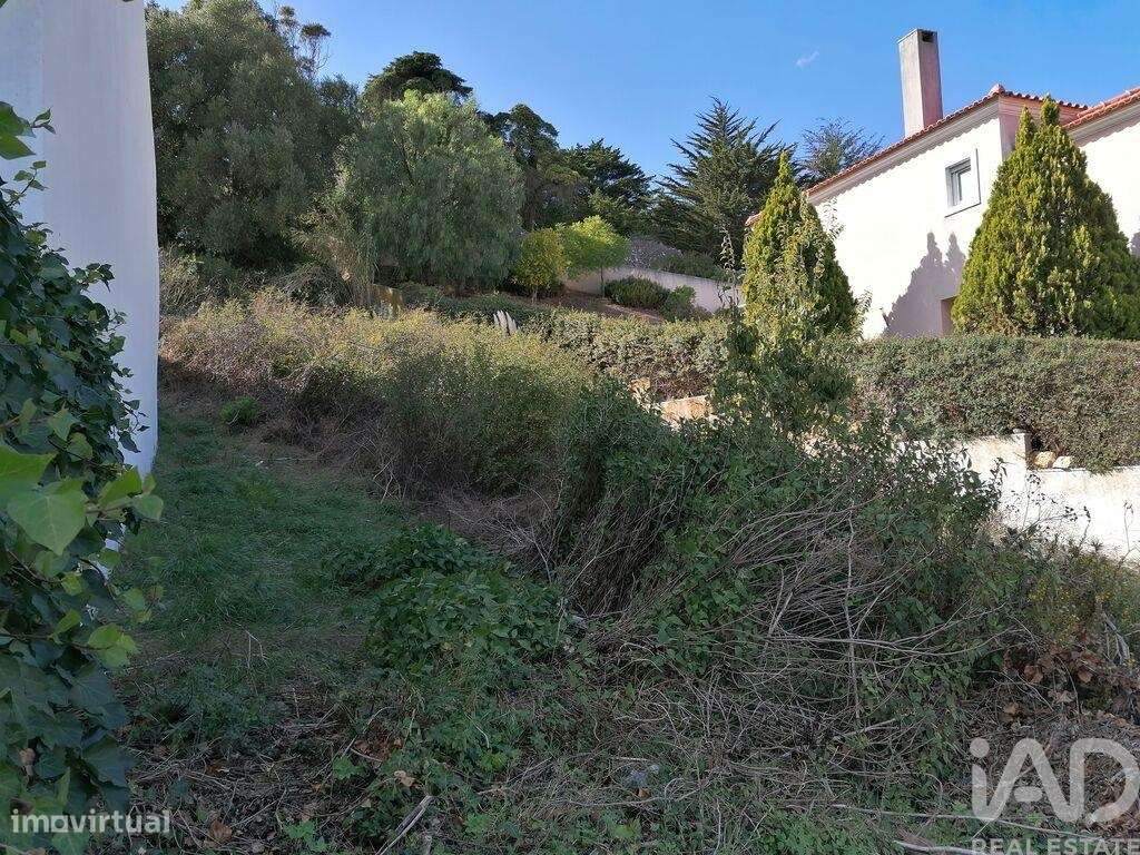 Terreno em Barcarena de 505,00 m2 - Grande imagem: 5/10