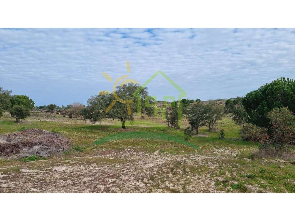 Terreno na Herdade Zambujeiro em Santo Estevão-9