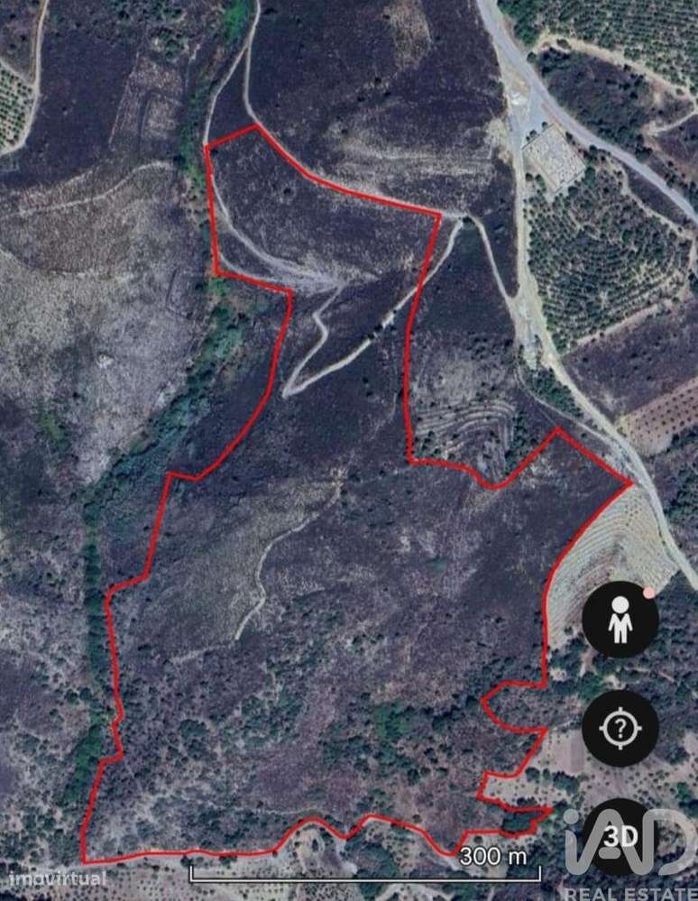 Terreno Agrícola em Mós - Grande imagem: 5/7