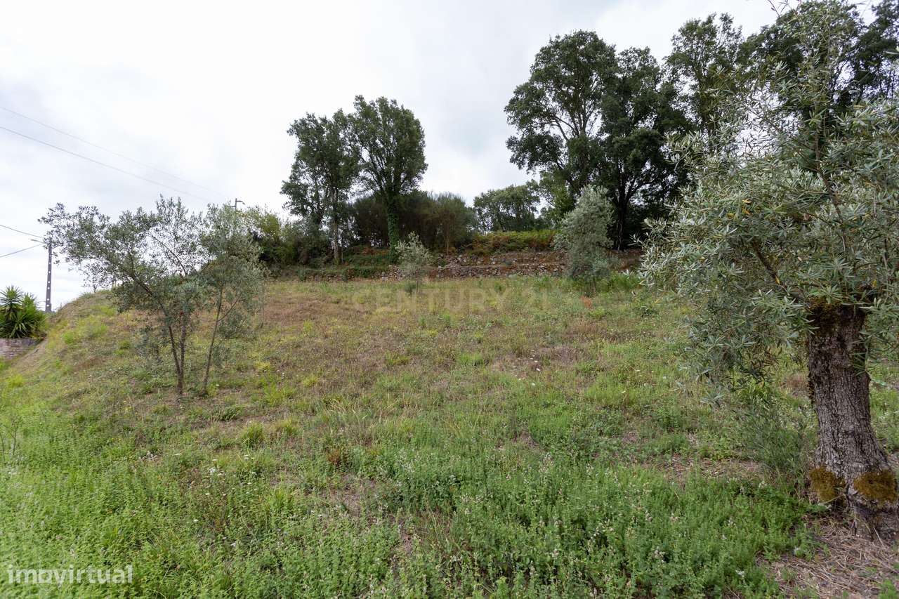 Terreno - Vila Nova de Poiares - Grande imagem: 3/7