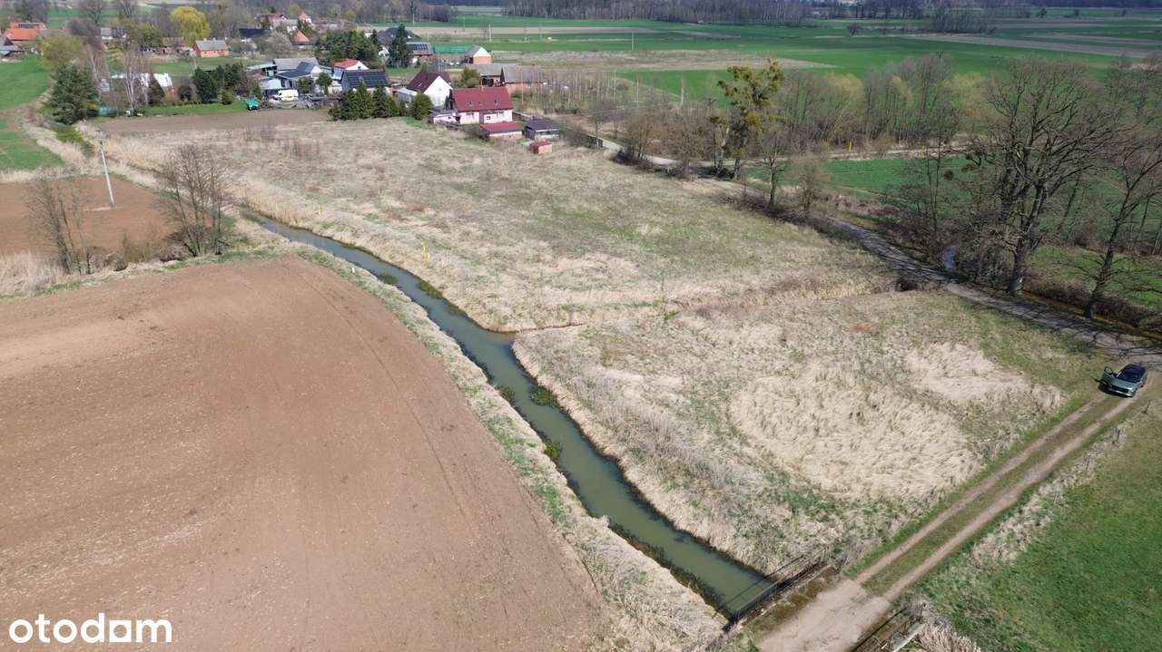Atrakcyjna działka – 0,93 ha | Czatkowice, blisko Milicza-7