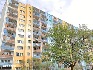 Piątkowo, 4 pokoje, duży balkon, winda