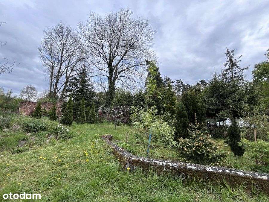 Posiadłość Nad Stawem Klasztorym - Pełny obrazek: 4/8