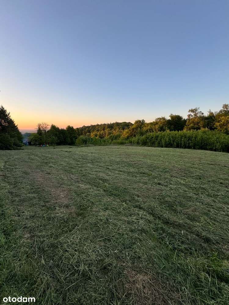 Działka o pow.1 ha - ul. Św.Marcina - Okazja!-6