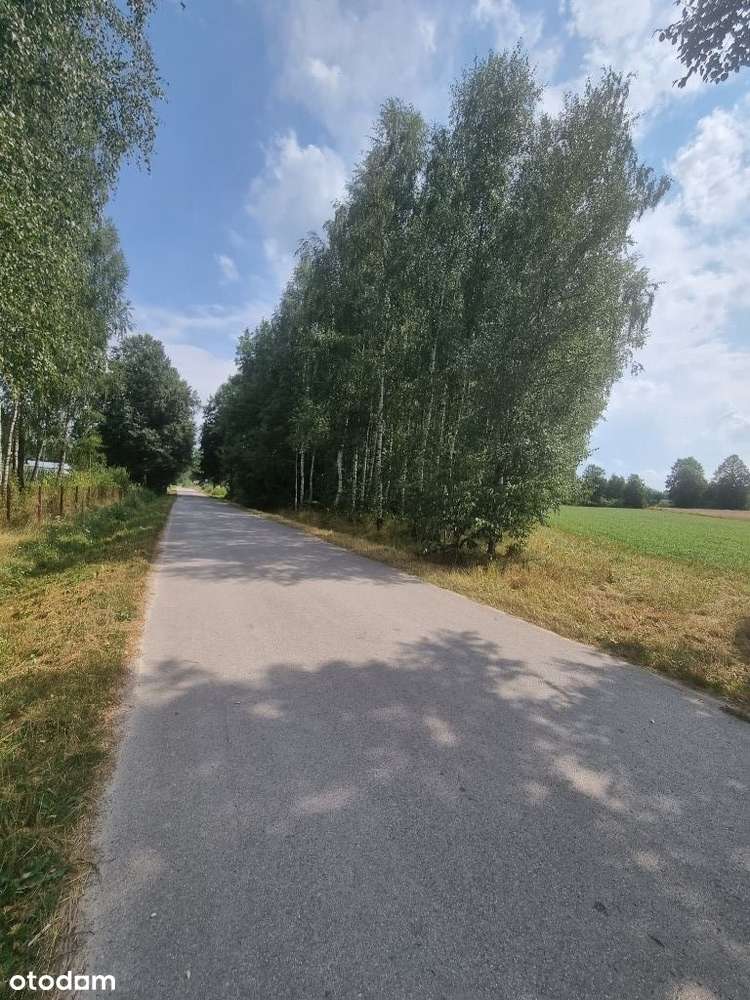 Sprzedam Działkę pod zabudowę 36 ar (3600m2) - Pełny obrazek: 4/4