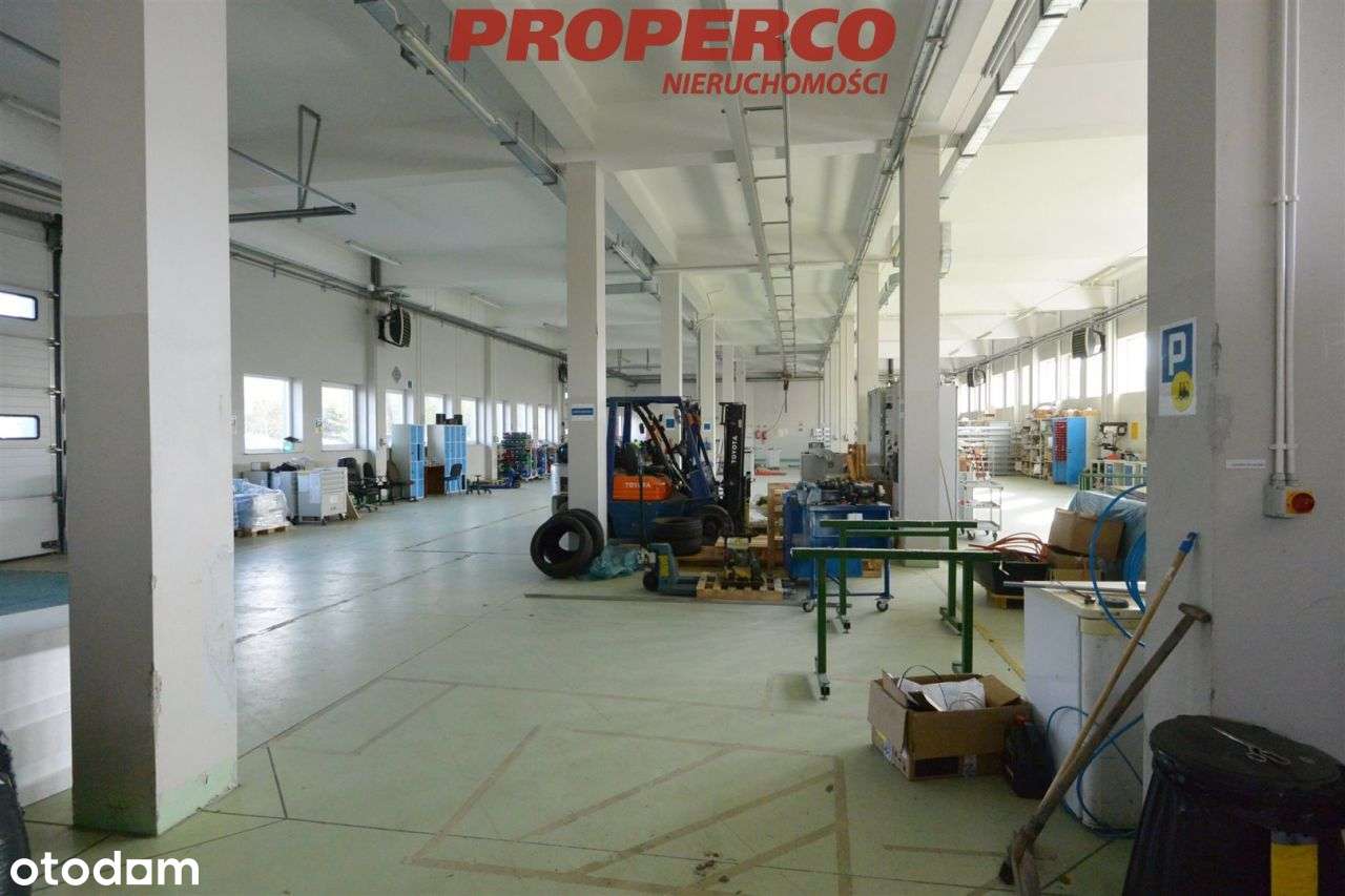 Hala pow. 1817 m2, Dobrów, gm. Tuczępy - Pełny obrazek: 5/6