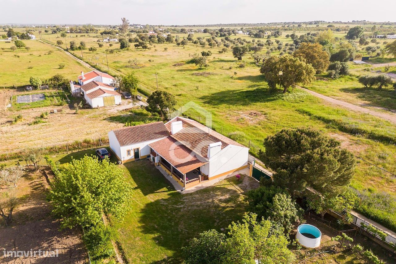 Quinta de 9250m2 c/ Moradia T4 térrea, anexo e armazém | Azaruja