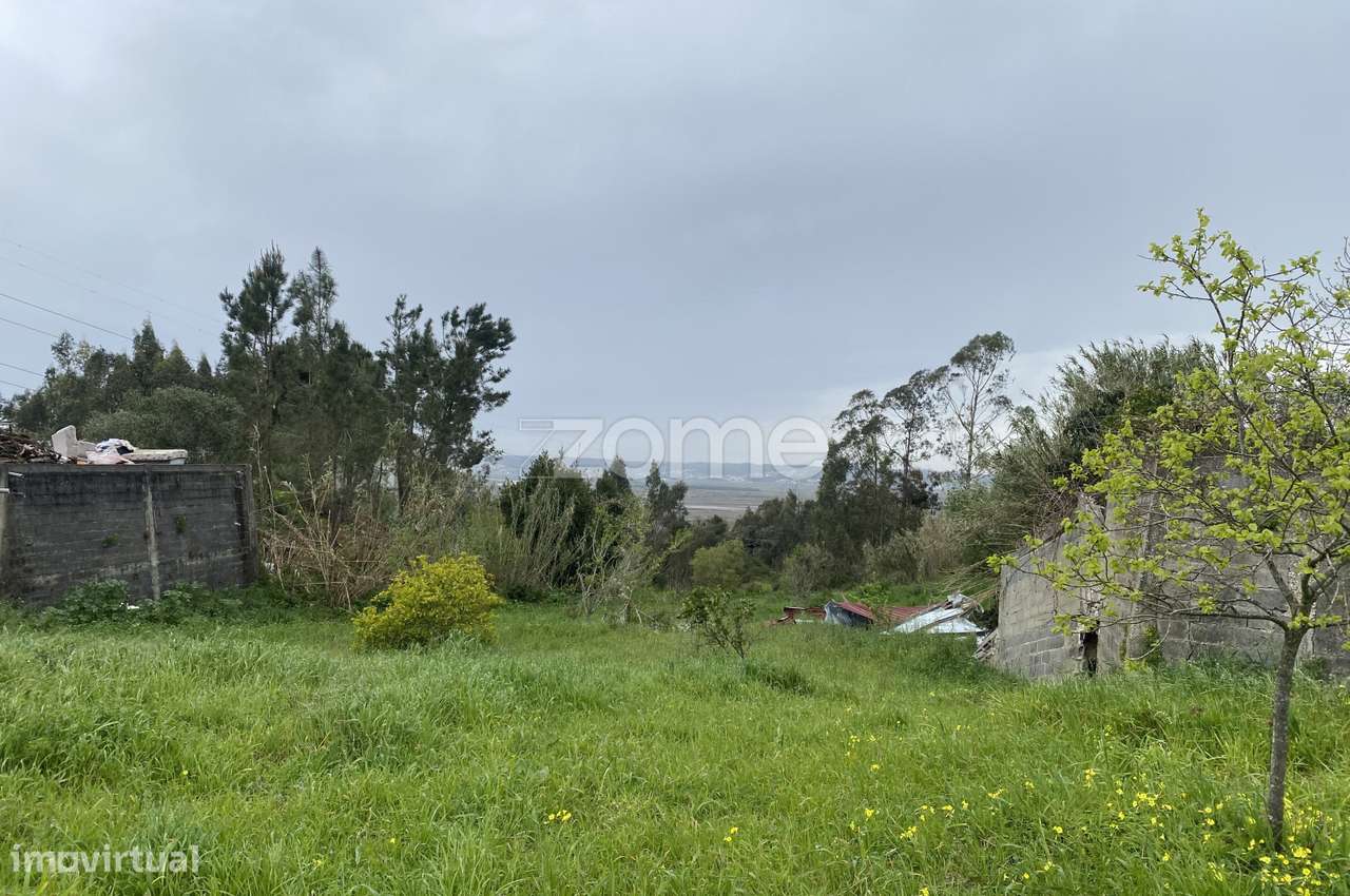 Investimento ou desenvolvimento de projeto rural, no Alqueidão - Grande imagem: 3/16