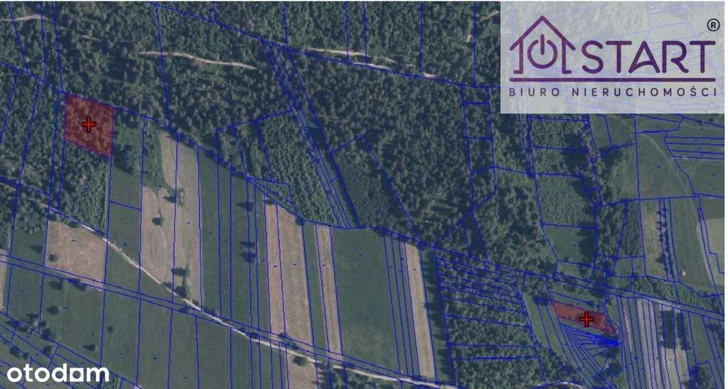 Pakiet działek o pow. 67arów Zubrzyca Górna - Pełny obrazek: 5/5