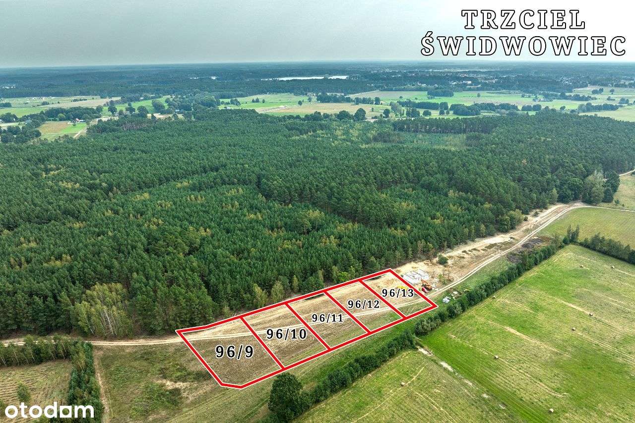 Na sprzedaż działka przy lesie z WZ Trzciel - Pełny obrazek: 4/8