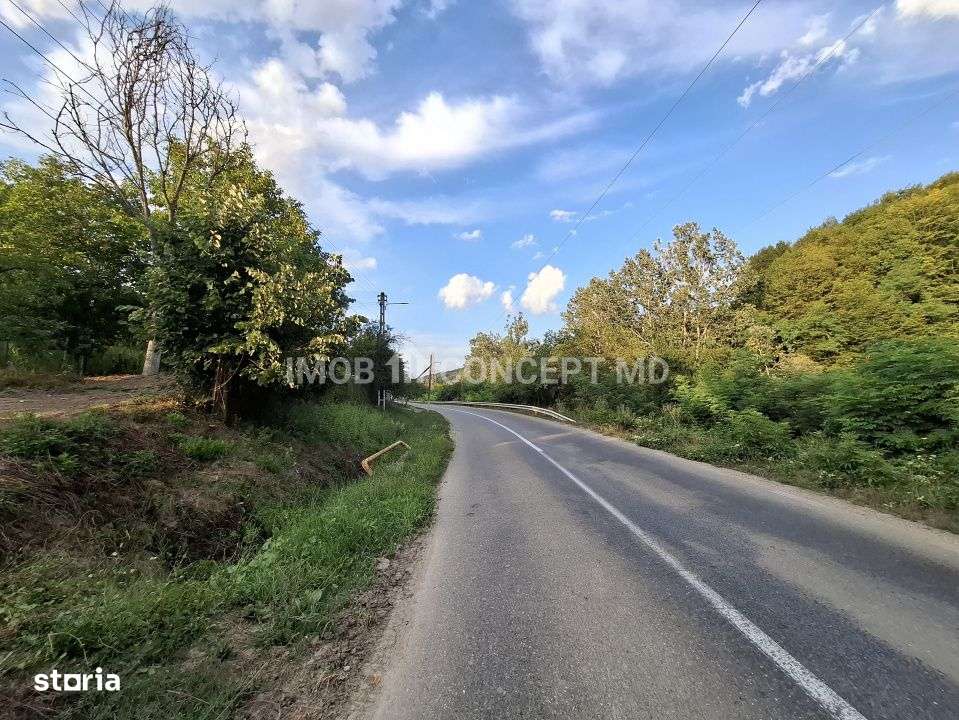 Teren spectaculos cu padure, livada si priveliste panoramica in Soimar-0