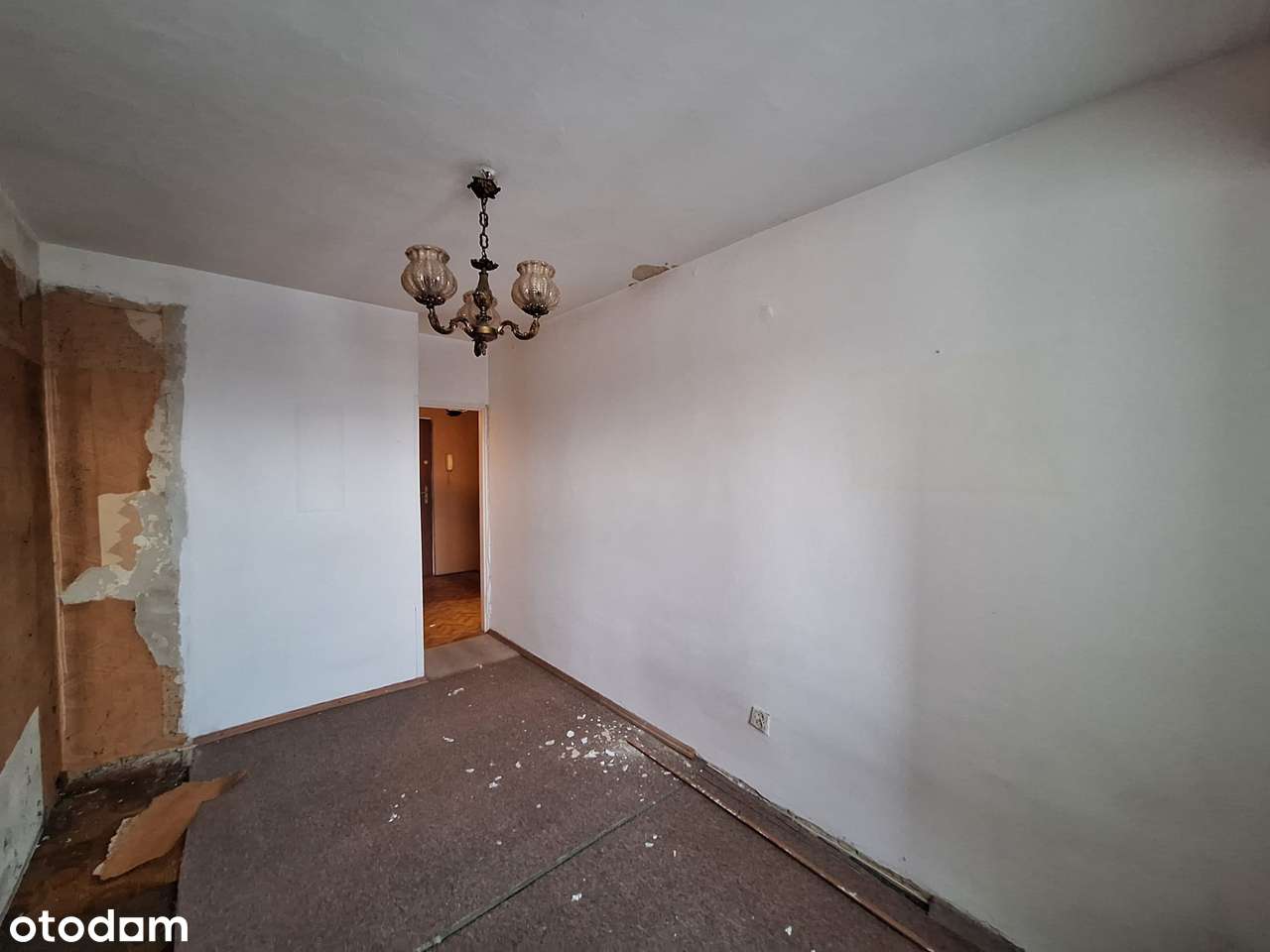 2 niezależne pokoje w samym centrum | OKAZJA!!! - Pełny obrazek: 2/7