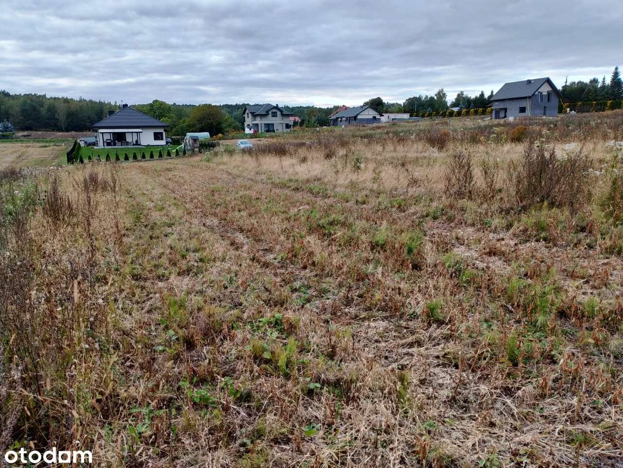 Atrakcyjna działka pod miastem - Pełny obrazek: 2/8