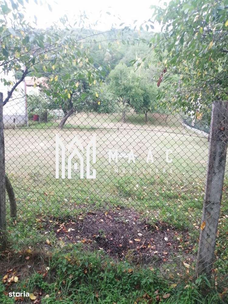 Teren Intravilan 10.000 mp | Livadă + Pădure de salcâm | Bărbătești-5