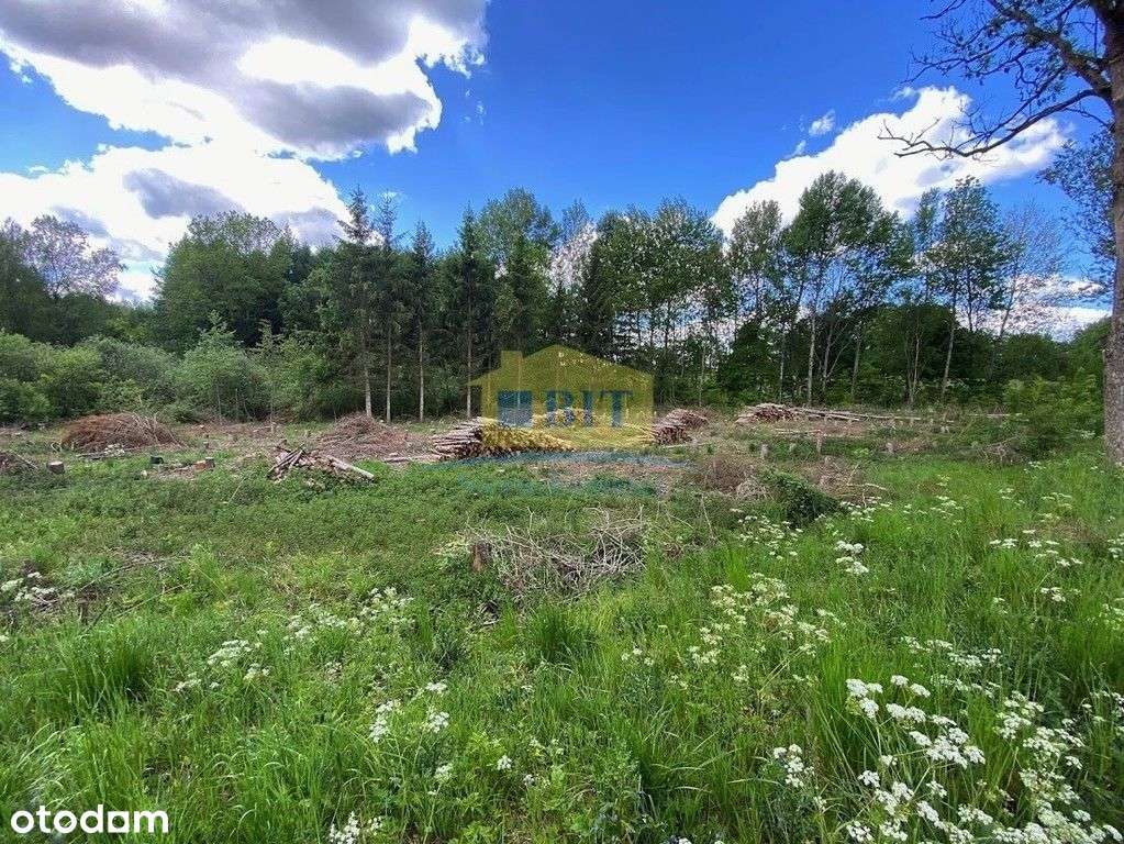 Dwie działki 4320 m2, Bobrowo gm. Złocieniec, Wz - Pełny obrazek: 5/11