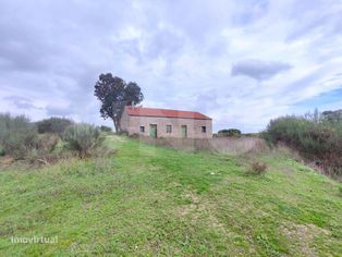 Quintinha com 4,41ha para venda em Caria, Belmonte! - Grande imagem: 2/17