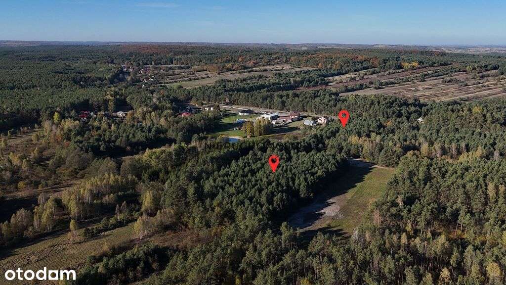 Działki w spokojnej okolicy–Dyle - 1,88 ha-8