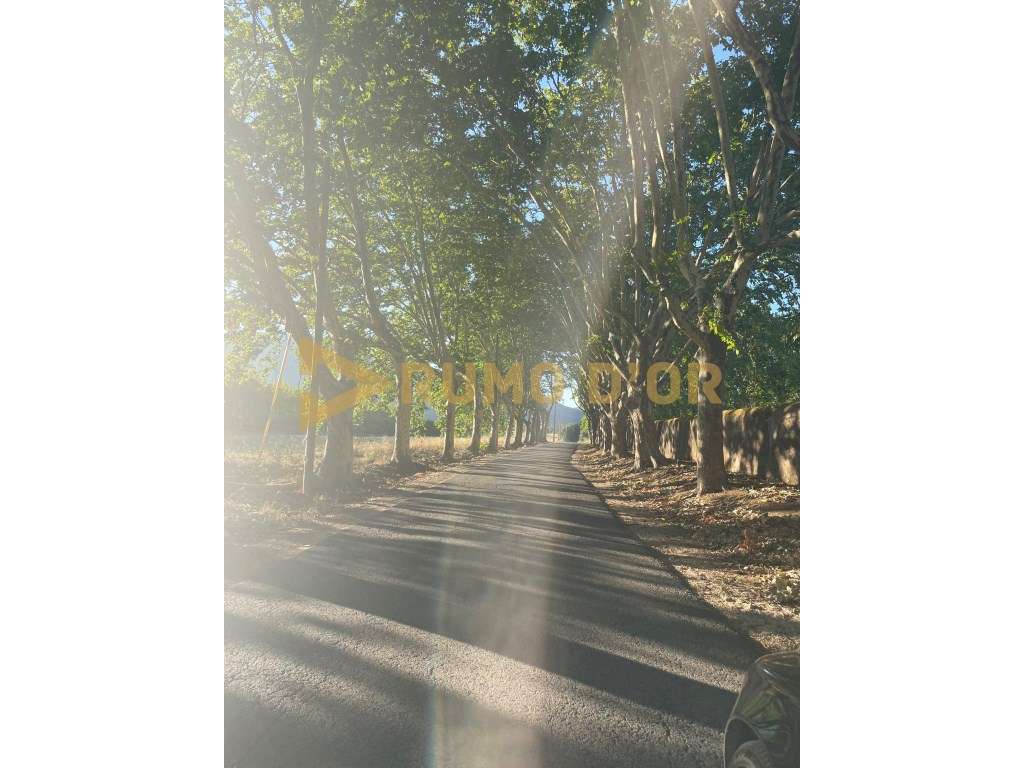 LOTE 12 - 298,95 m² | Oportunidade especial: 28 000 € - Grande imagem: 5/5