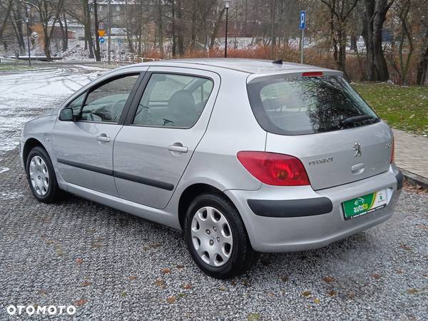 Peugeot 307 1.6 Premium - 15