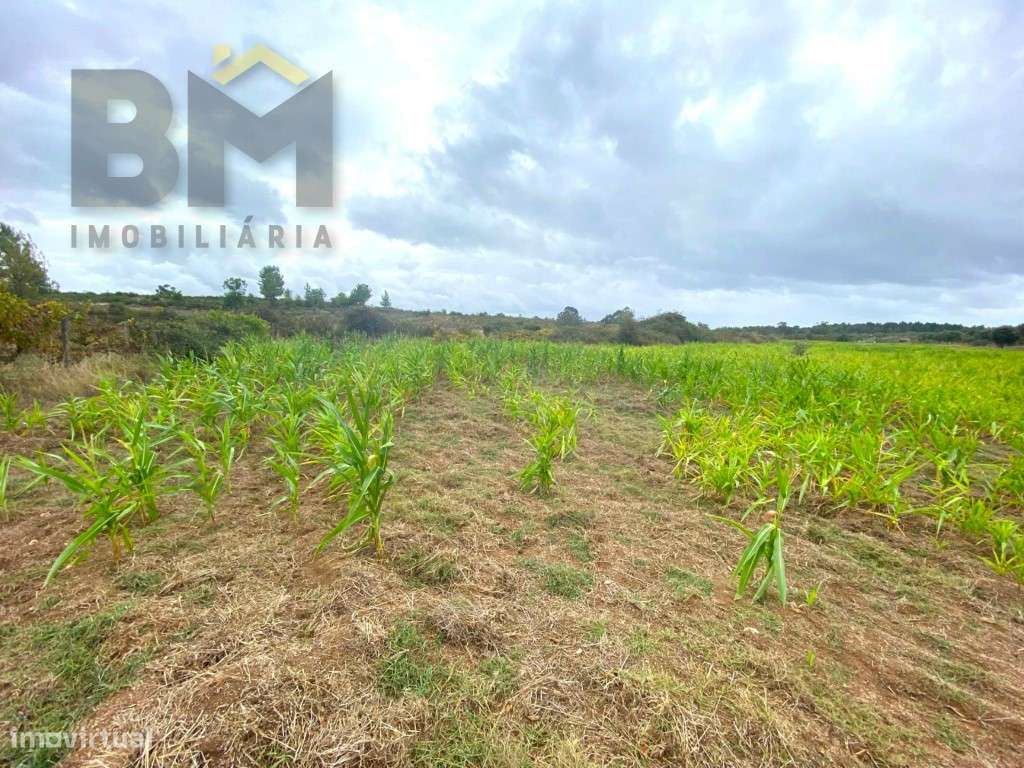 Propriedade com 7.800m2 - Grande imagem: 2/21