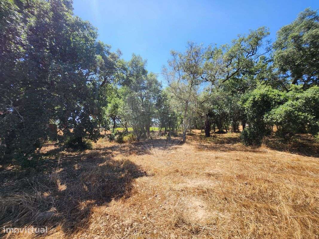 Terreno  para venda-7