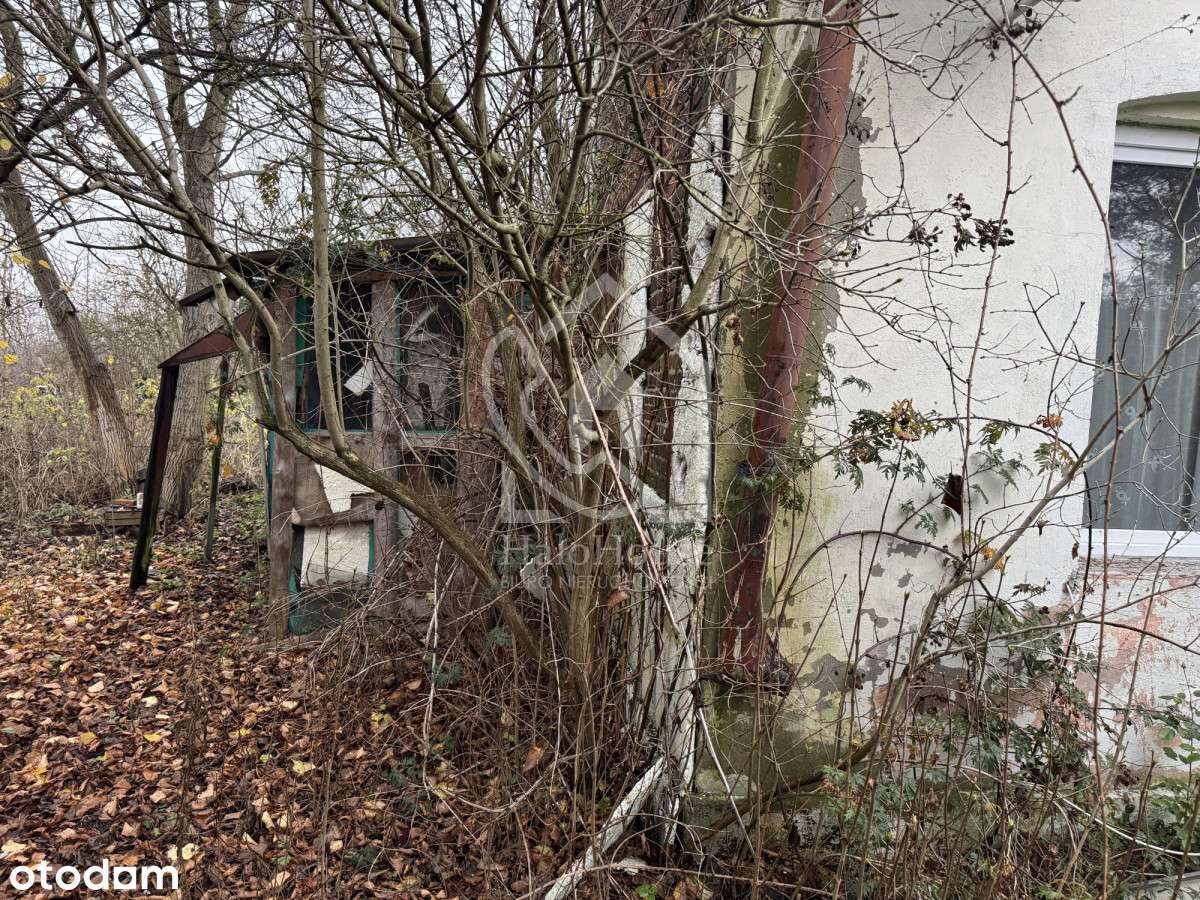 Dom do kapitalnego remontu | Duża działka |-5