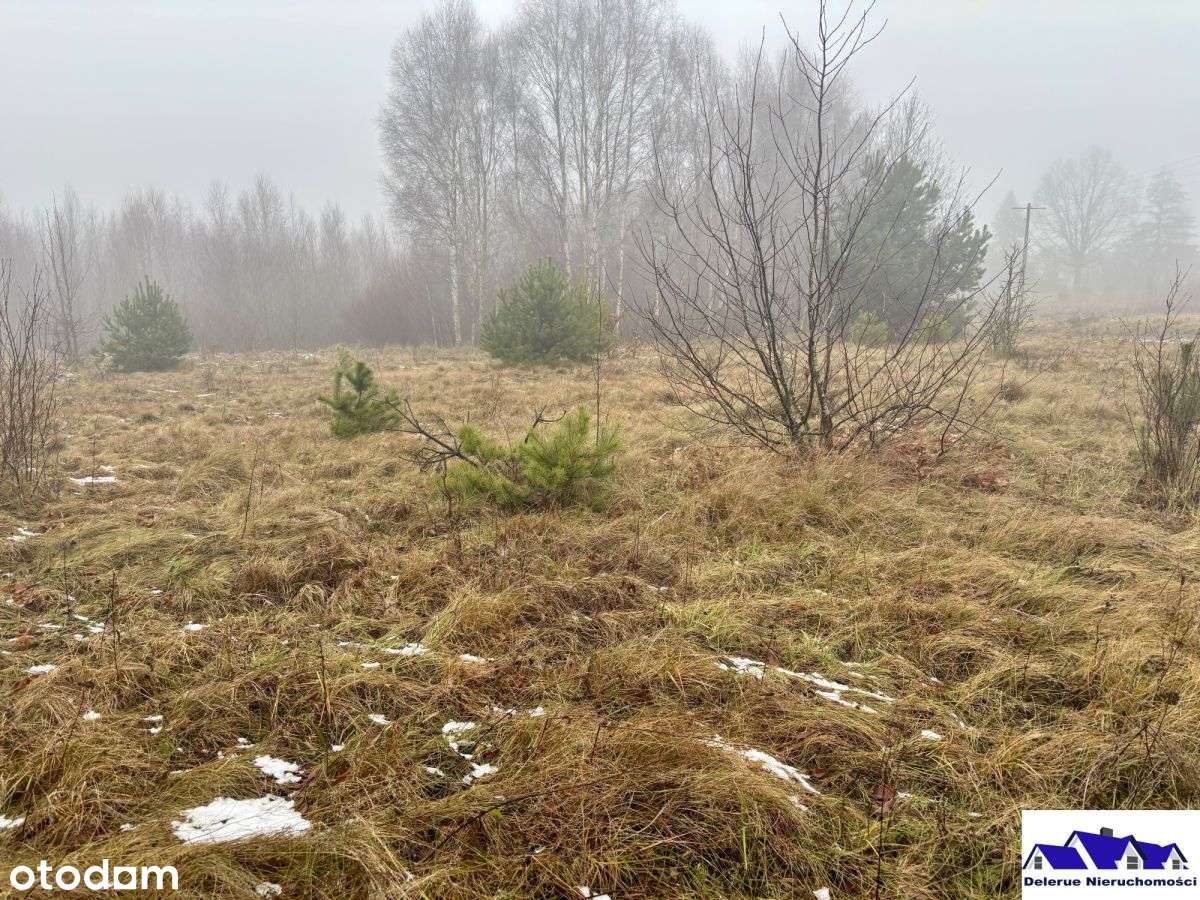 Duża działka budowlana w spokojnej okolicy - Pełny obrazek: 3/7