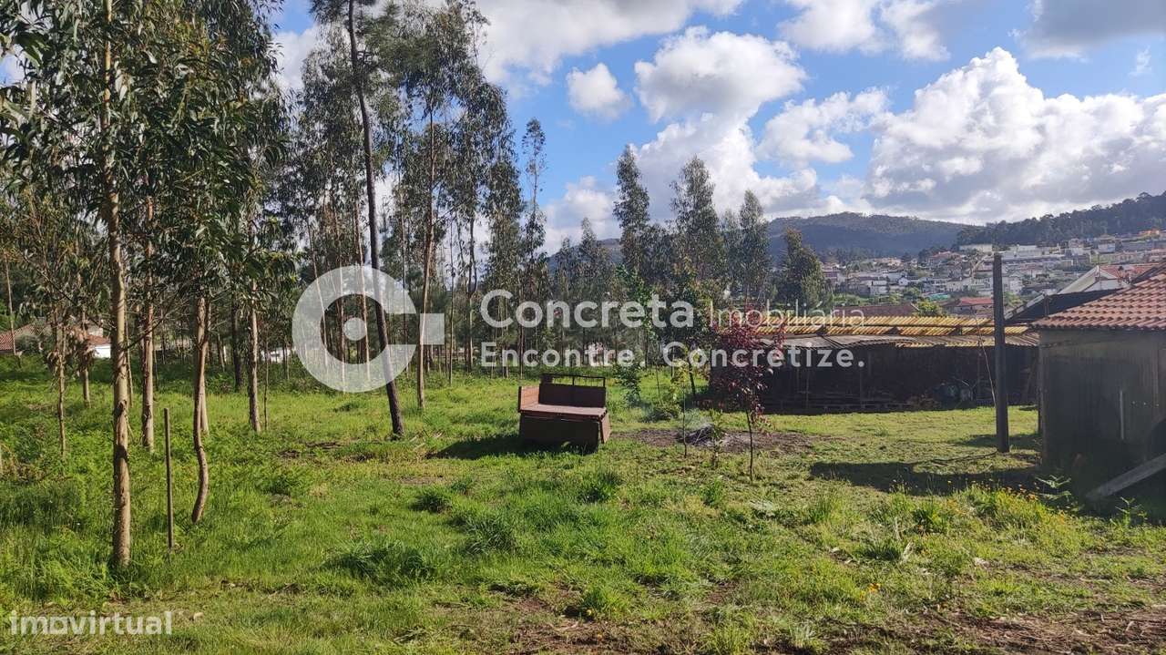 Terreno para Construção em Várzea, Barcelos - Grande imagem: 3/8