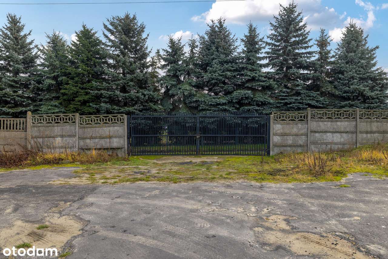 10 000  m2  w centrum Szczekocin-9