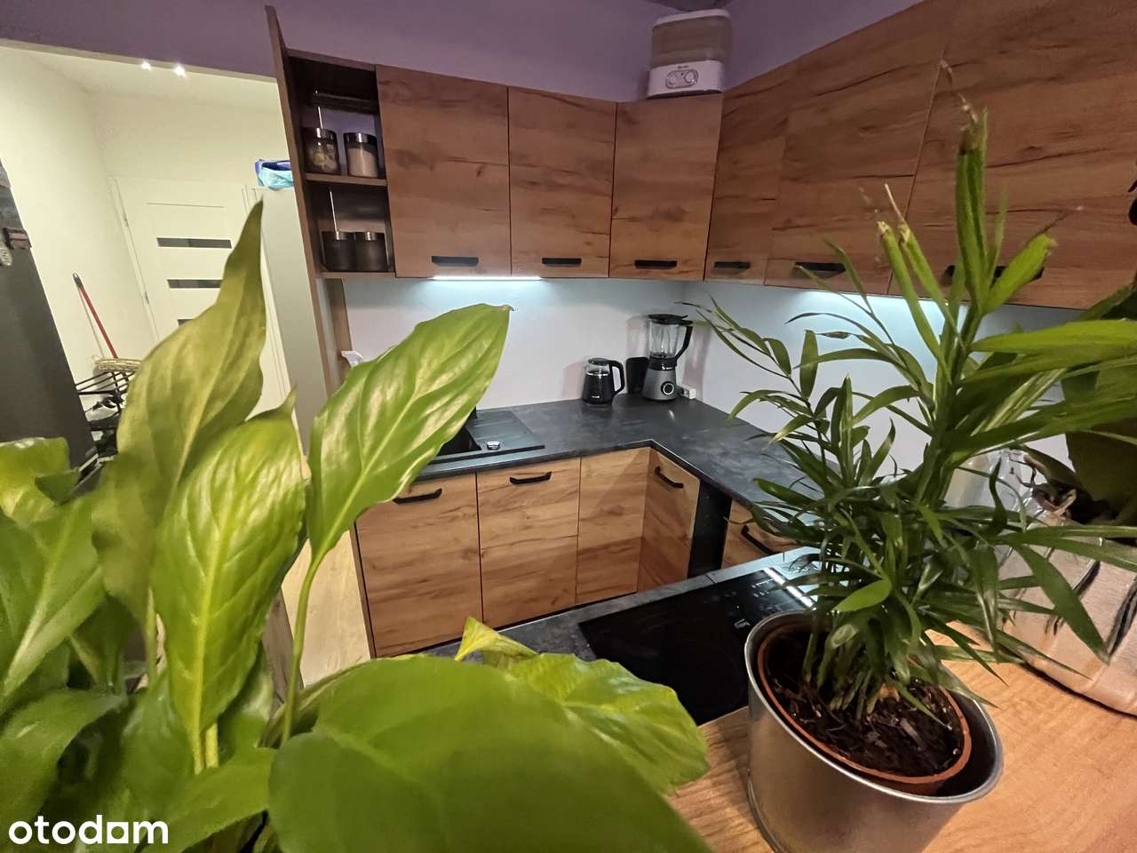 3 pok z balkonem po kapitalnym remoncie na I piętrze z wyposażeniem!-4