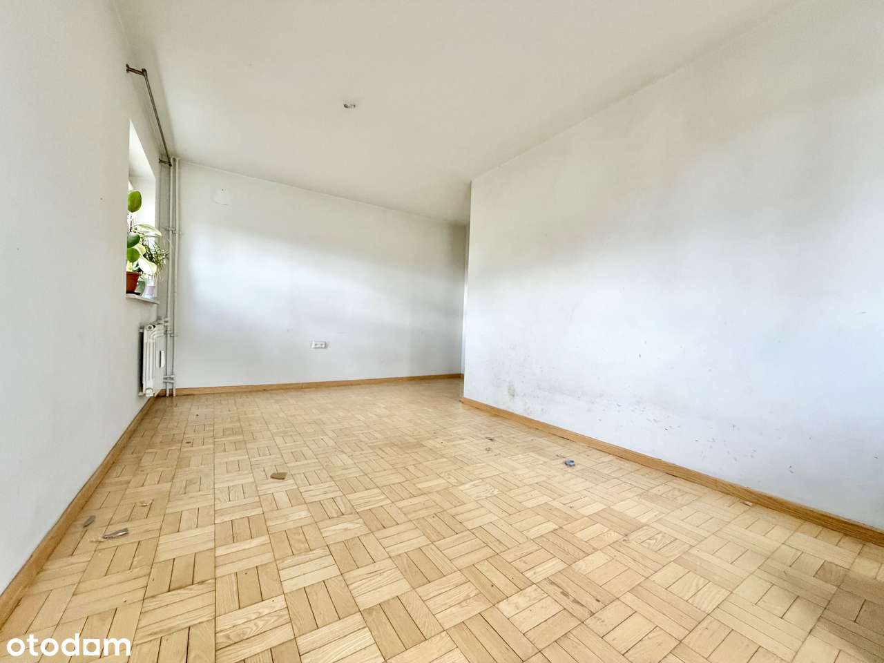 Ciche 3 pokoje z oddzielną kuchnią | 3-4 pokoje | Balkon| Piwnica-1