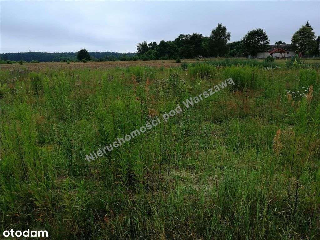 Duża działka przy asfalcie.-3