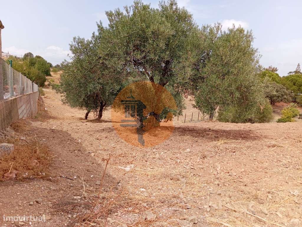 Terreno Rustico com água na zona da Corte António Martins-7