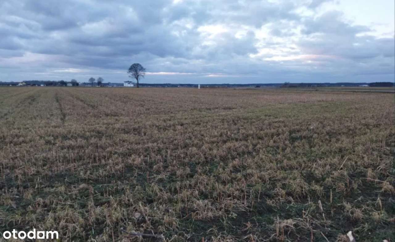 Teren inwestycyjny pod zabudowę jednorodzinną - Zatory za Serockiem ! - Pełny obrazek: 2/4