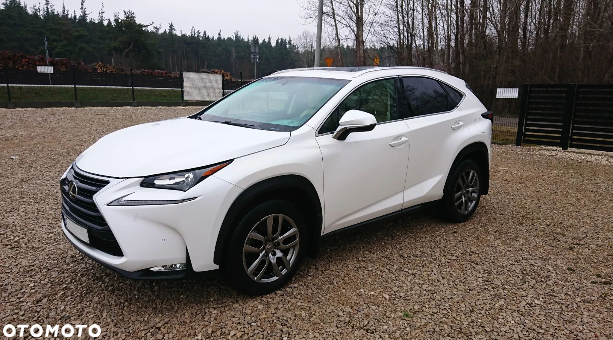 Lexus NX 200t AWD - 1