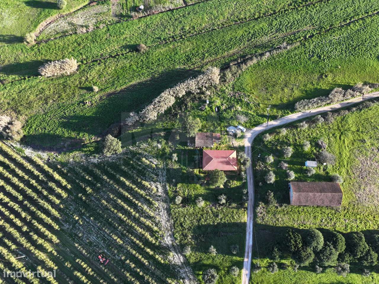 Moradia T2+1 c/ Anexo & Armazém em Lote de 7.600m2-6