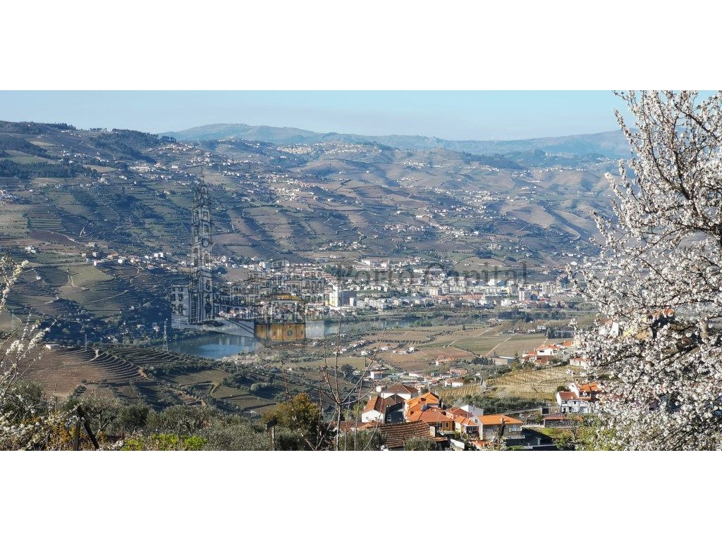 Quinta no Douro com Vista Rio