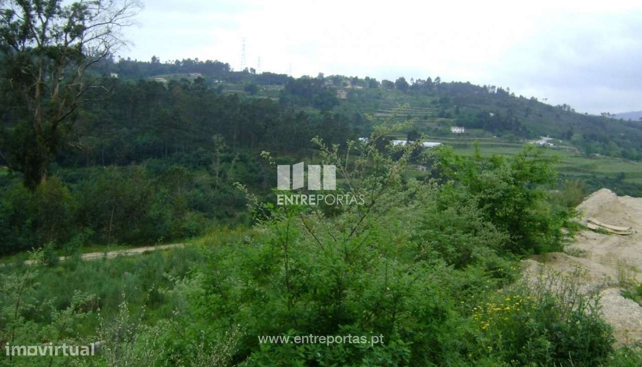 Venda Terreno, Freixo, Marco de Canaveses - Grande imagem: 4/7