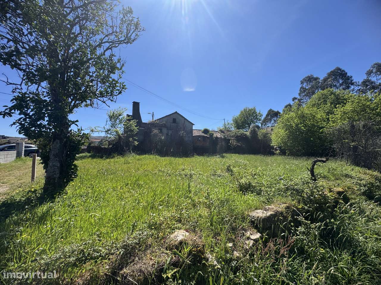 Quintinha – Oliveira de Frades-5