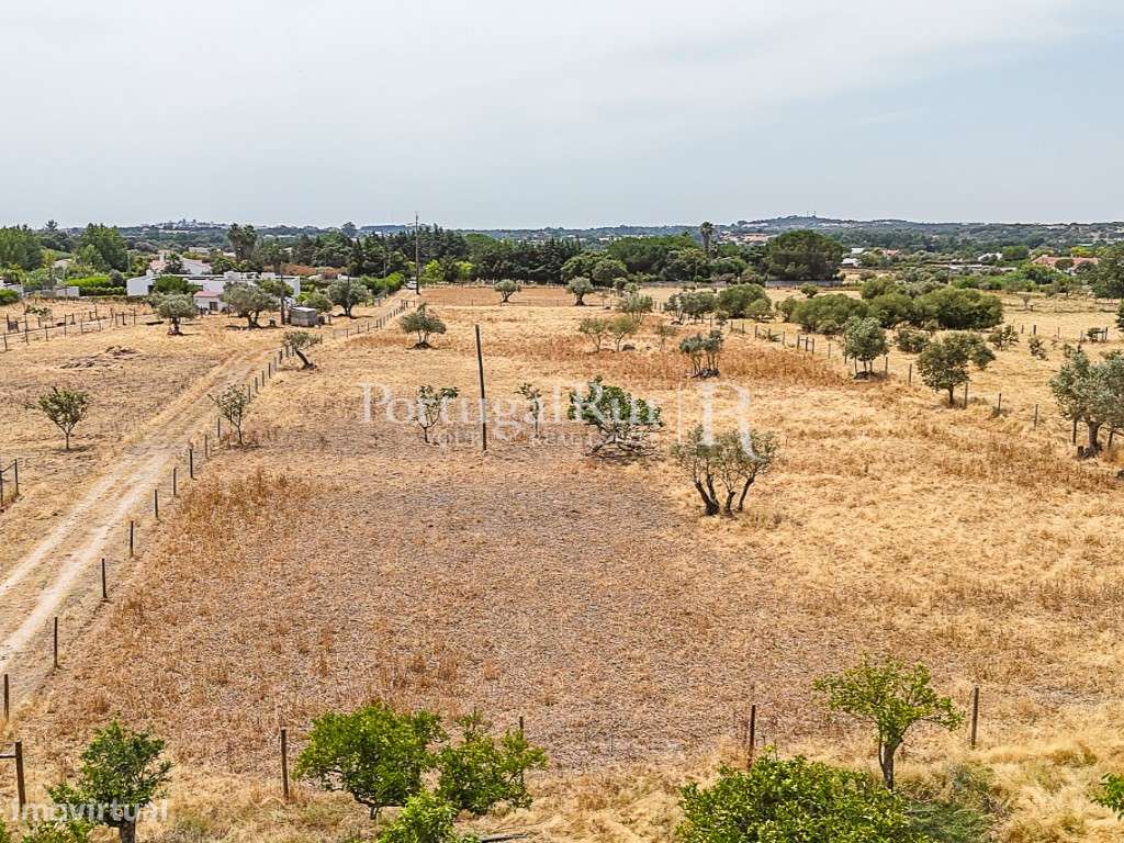 Encantadora quintinha alentejana-19