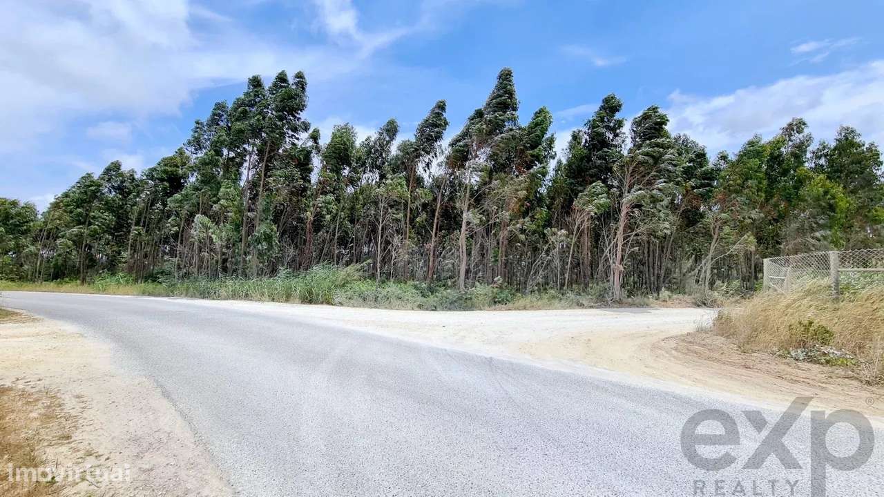 Terreno para construção de pavilhão industrial, na Zona Industrial das - Grande imagem: 4/12